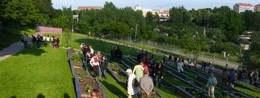 Kumpulan kasvitieteellisen puutarhan avajaisissa 2009. Kuva Jouko Lehmuskallio