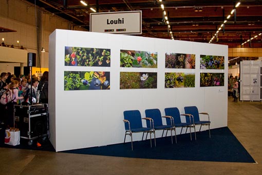 Jouko Lehmuskallion marjakuvia Louhi-lavan vieressä